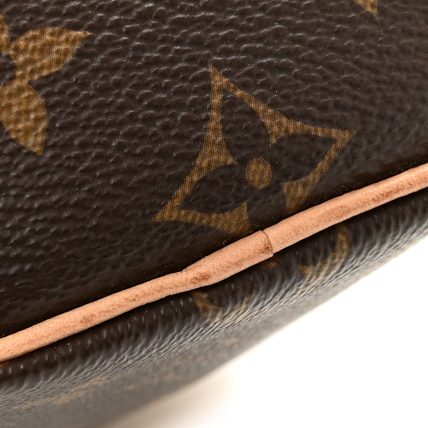 Monogram Nano Speedy