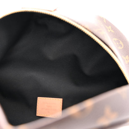 Louis Vuitton Monogram Bumbag 5 of 11