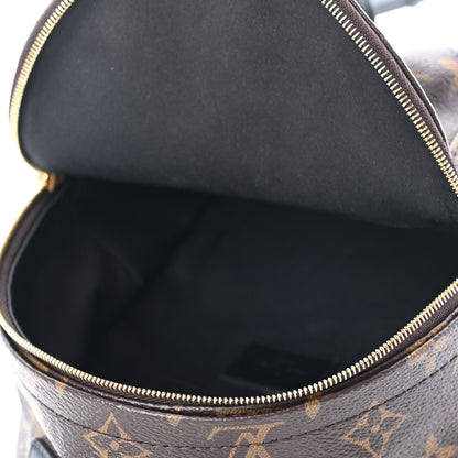 Louis Vuitton Monogram Palm Springs Backpack Mini 4 of 6