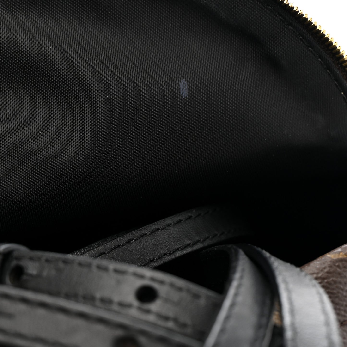 Monogram Palm Springs Backpack Mini