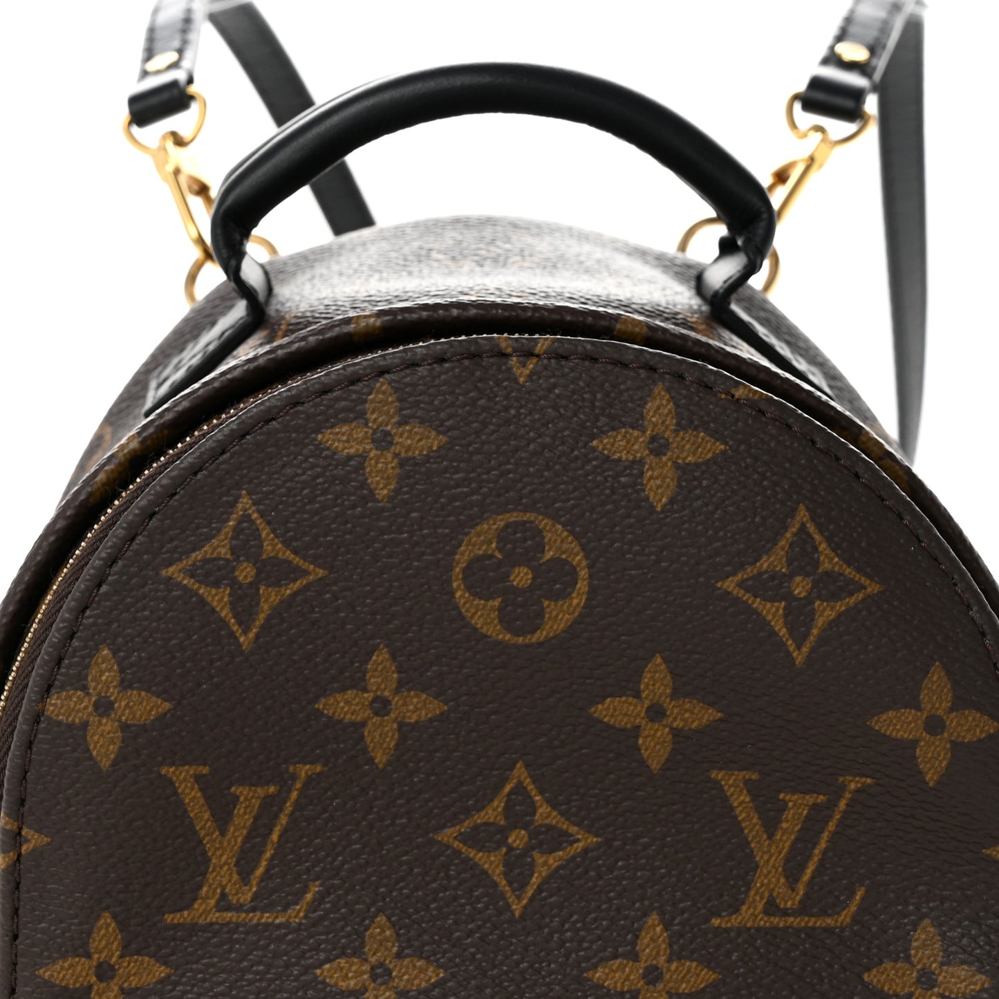 Monogram Palm Springs Backpack Mini