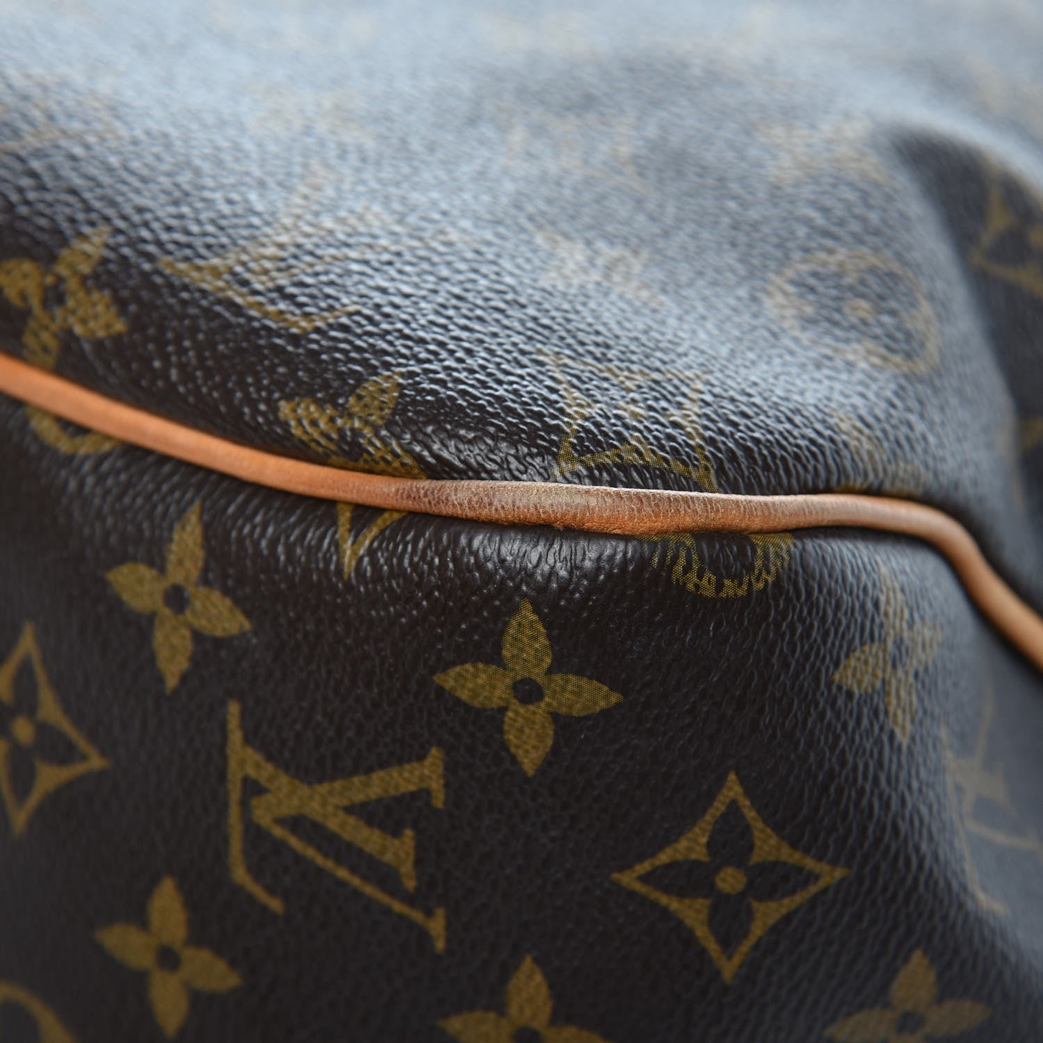 Louis Vuitton Monogram Delightful GM 11 of 11