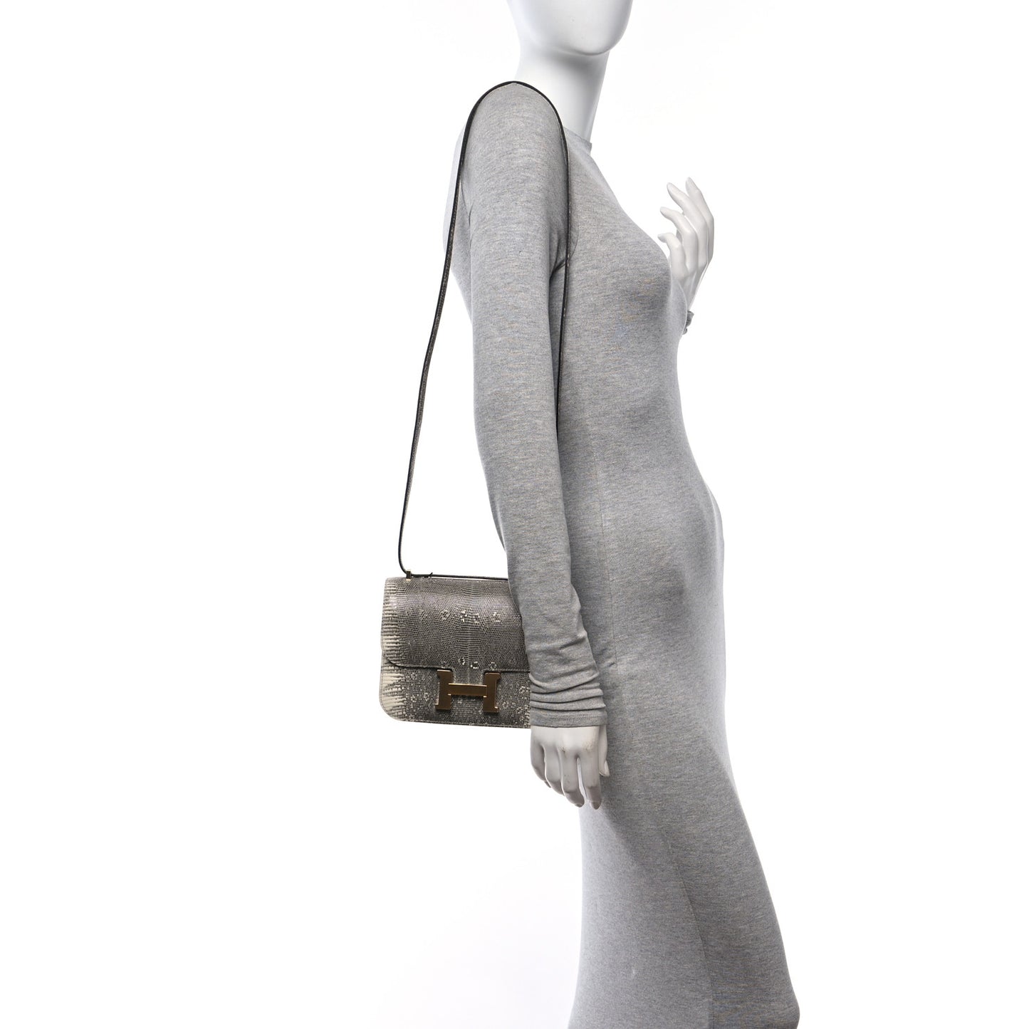 Lizard Constance 18 Ombre