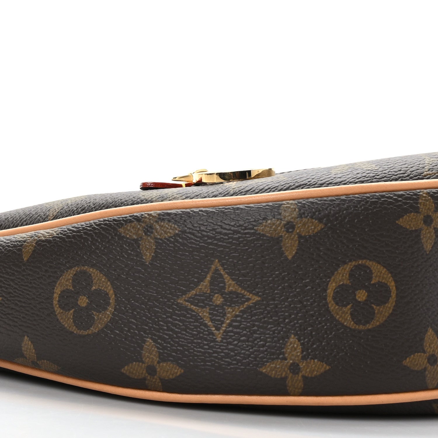 Louis Vuitton Monogram Loop 8 of 9