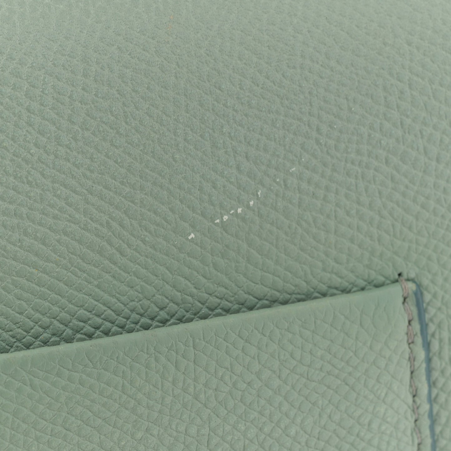 Baby Grained Calfskin Small Trotteur  Jade