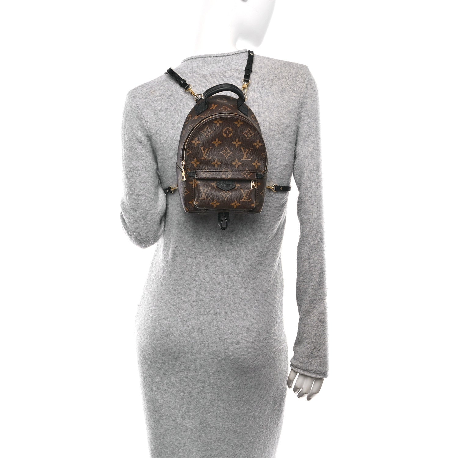 Louis Vuitton Monogram Palm Springs Backpack Mini 3 of 19
