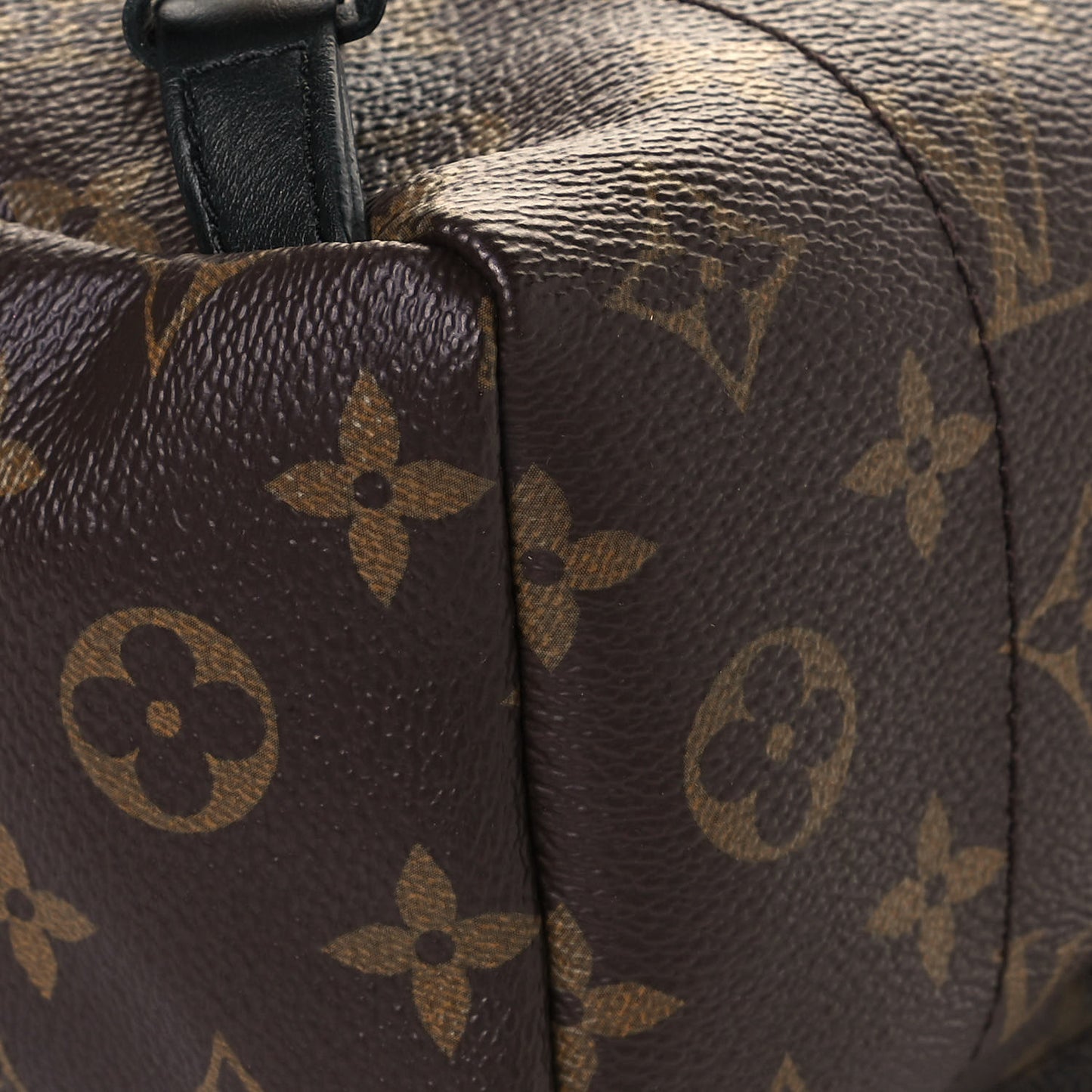 Monogram Palm Springs Backpack PM