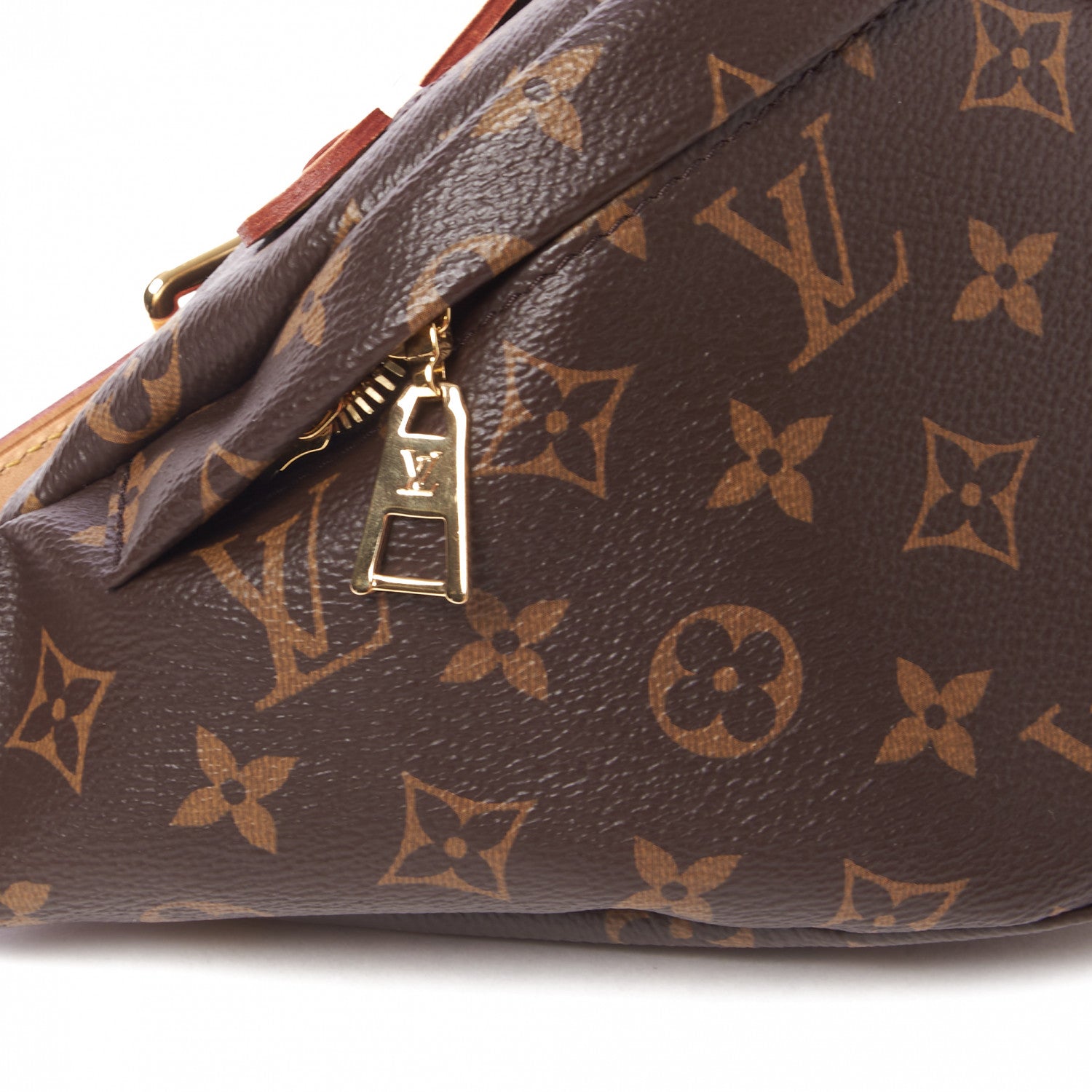 Louis Vuitton Monogram Bumbag 5 of 8
