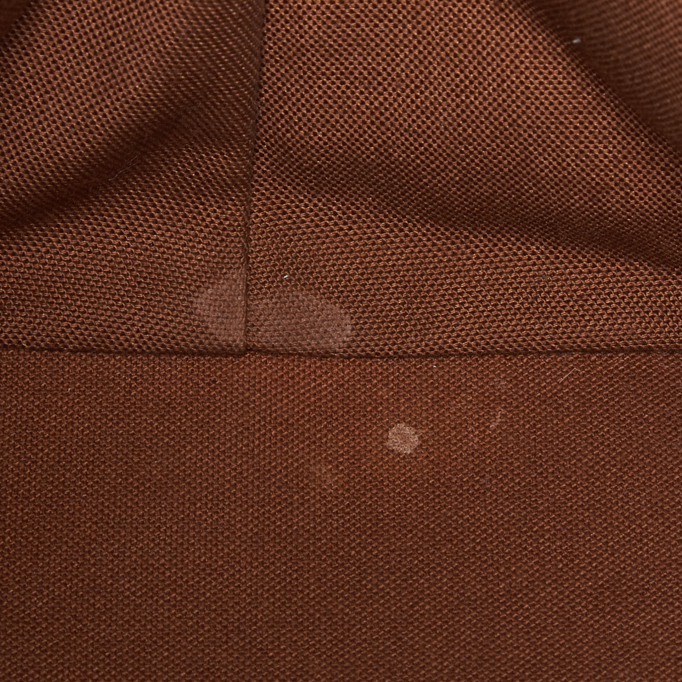 Monogram Cabas Mezzo