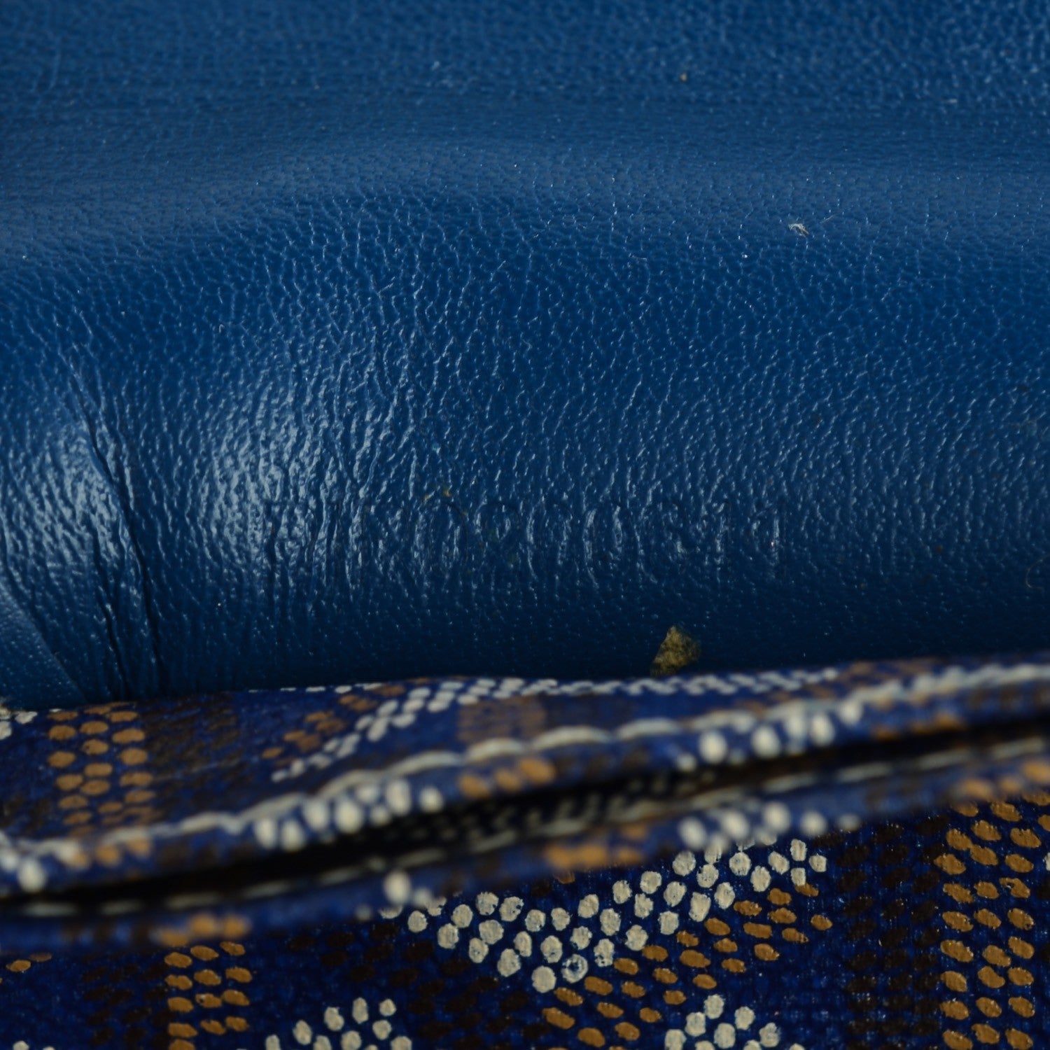 Goyard Goyardine Saint Louis PM Blue 6 of 8