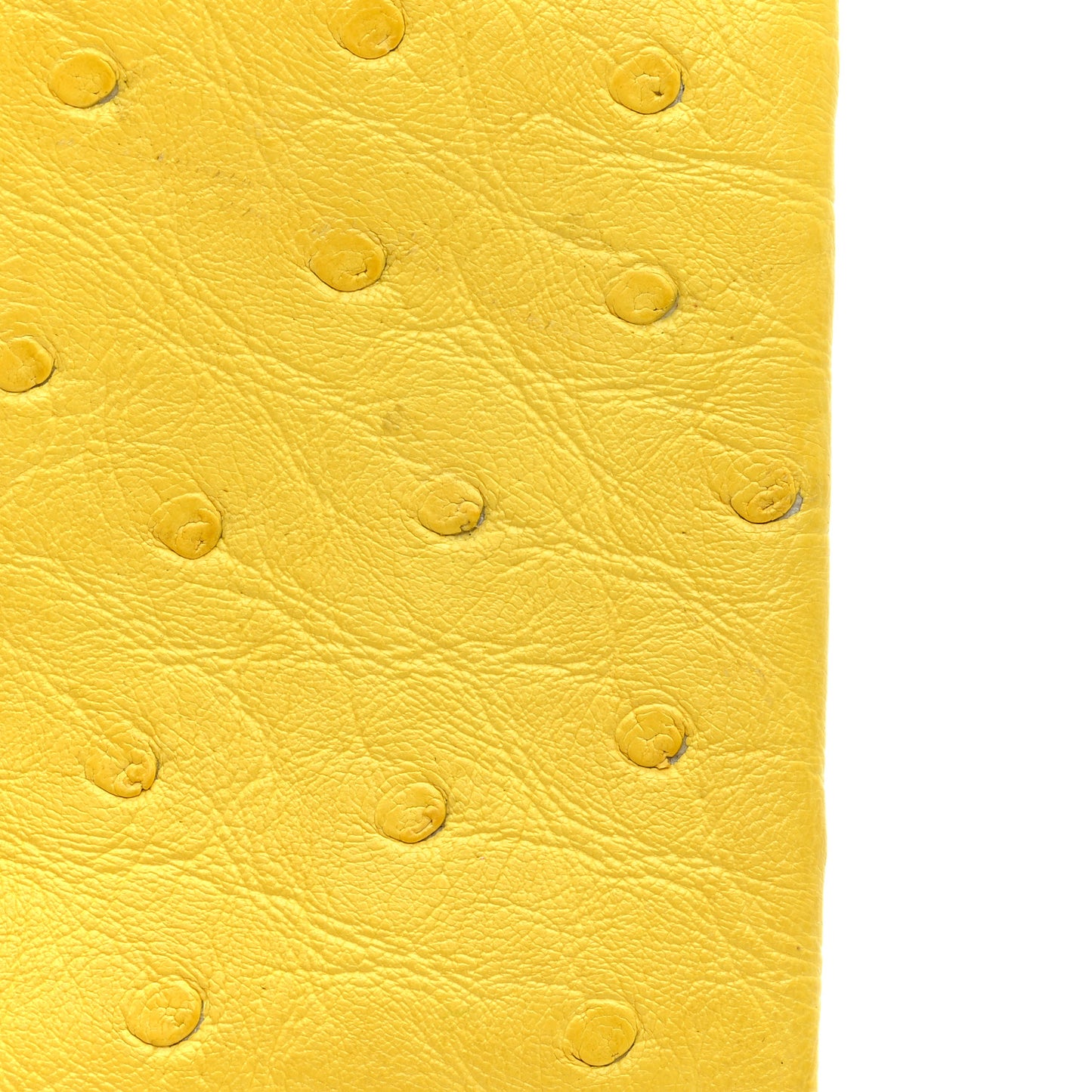 Ostrich Calvi Card Case Jaune Citron