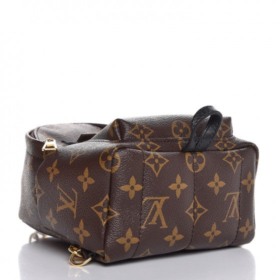 Monogram Palm Springs Backpack Mini