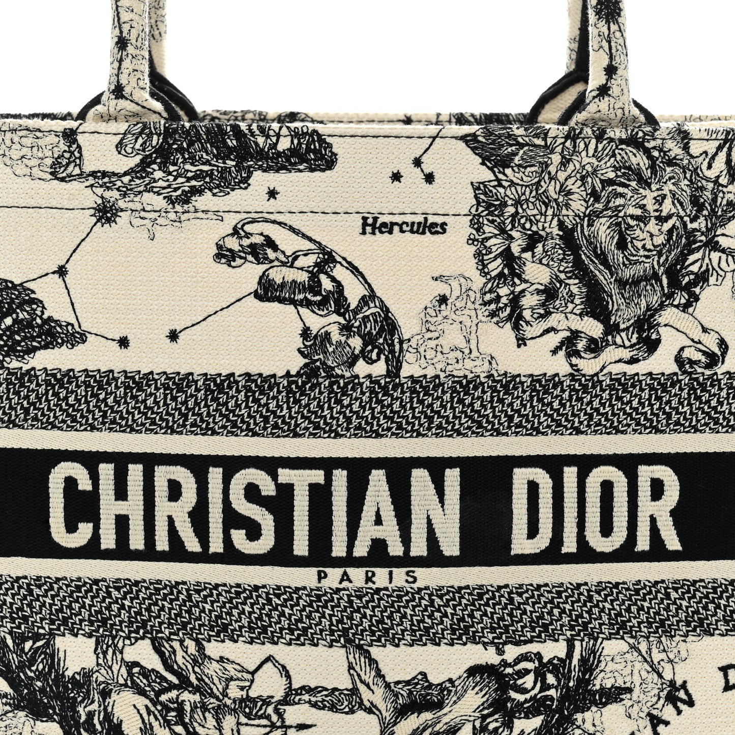 Canvas Zodiac Toile De Jouy Embroidered Medium Book Tote Latte