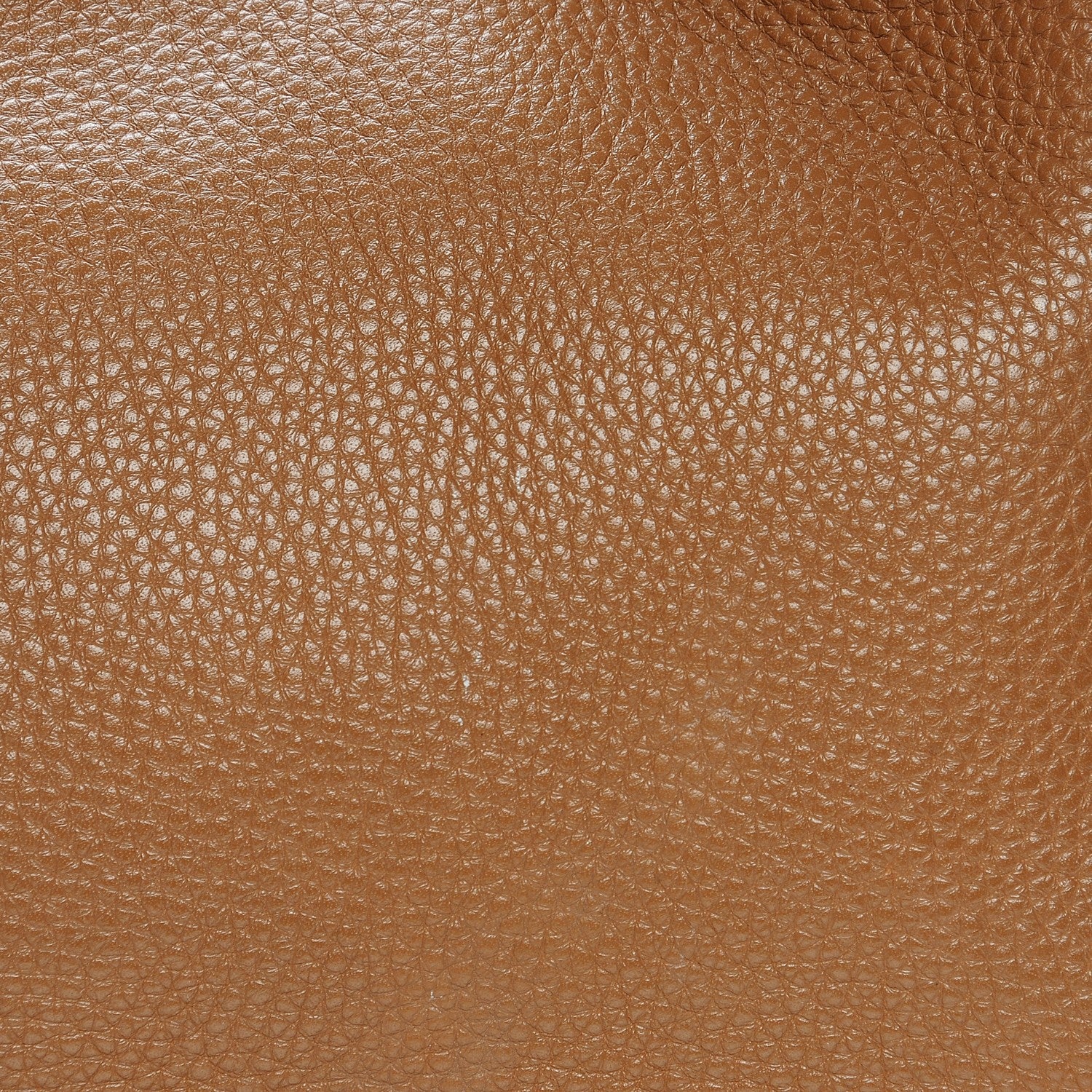 Prada Vitello Daino Hobo Caramel 9 of 17