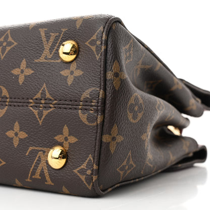 Louis Vuitton Monogram Venus Raisin 11 of 13