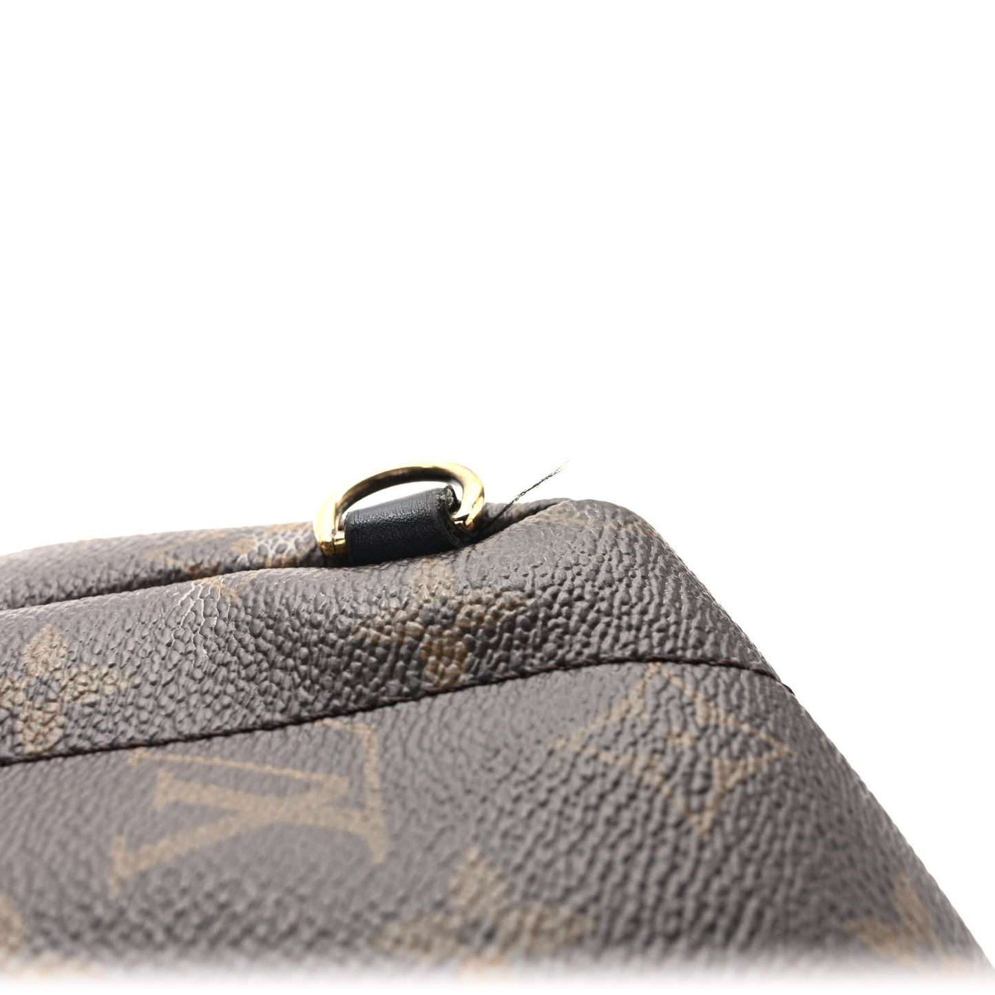 Monogram Palm Springs Backpack Mini