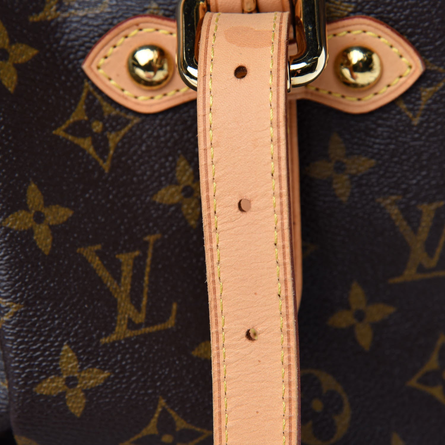 Louis Vuitton Monogram Palermo GM 9 of 13