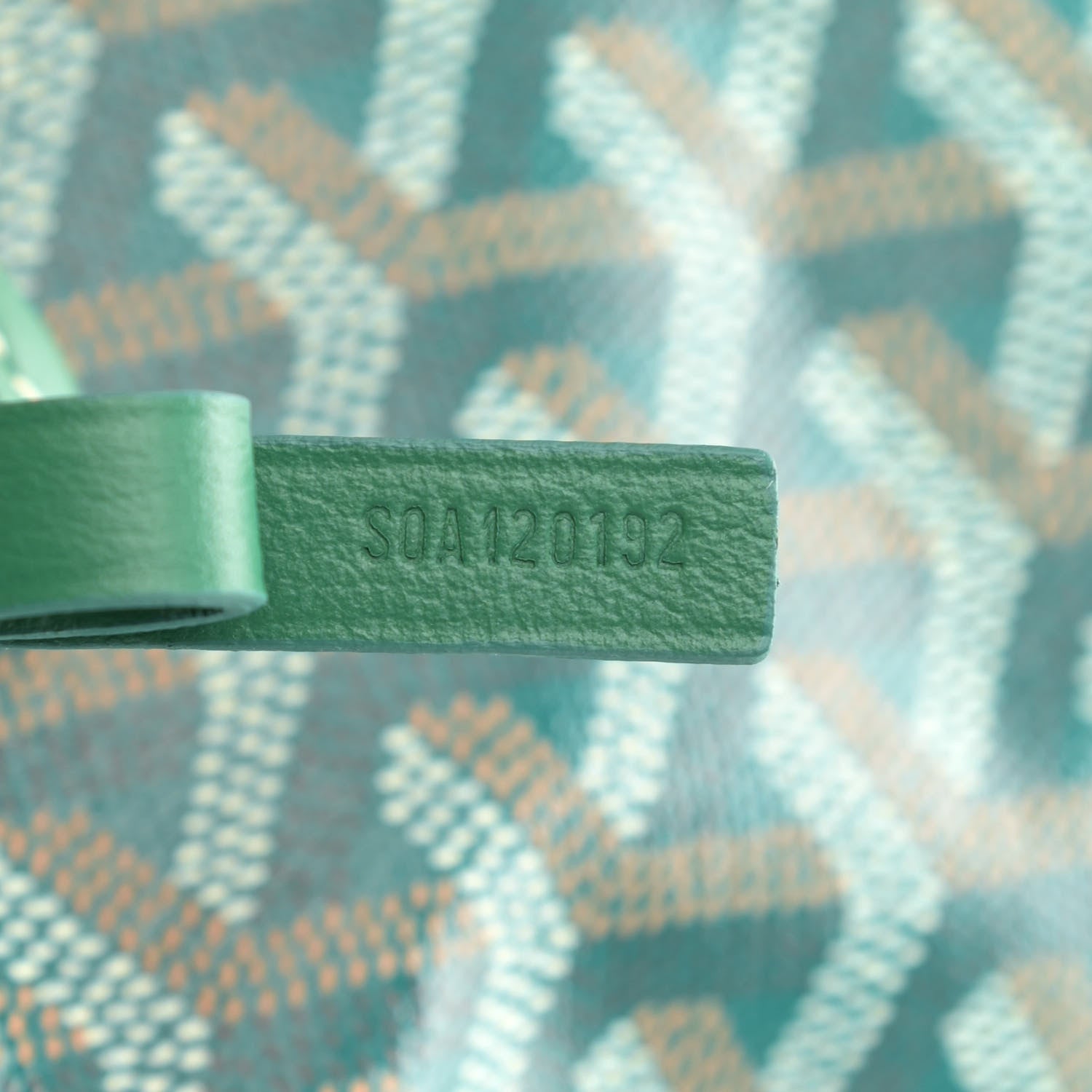 Goyard Goyardine Saint Louis PM Green 7 of 10
