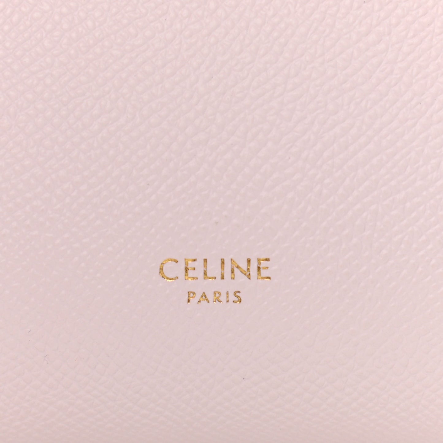 Grained Calfskin Pico Belt Bag Poudre