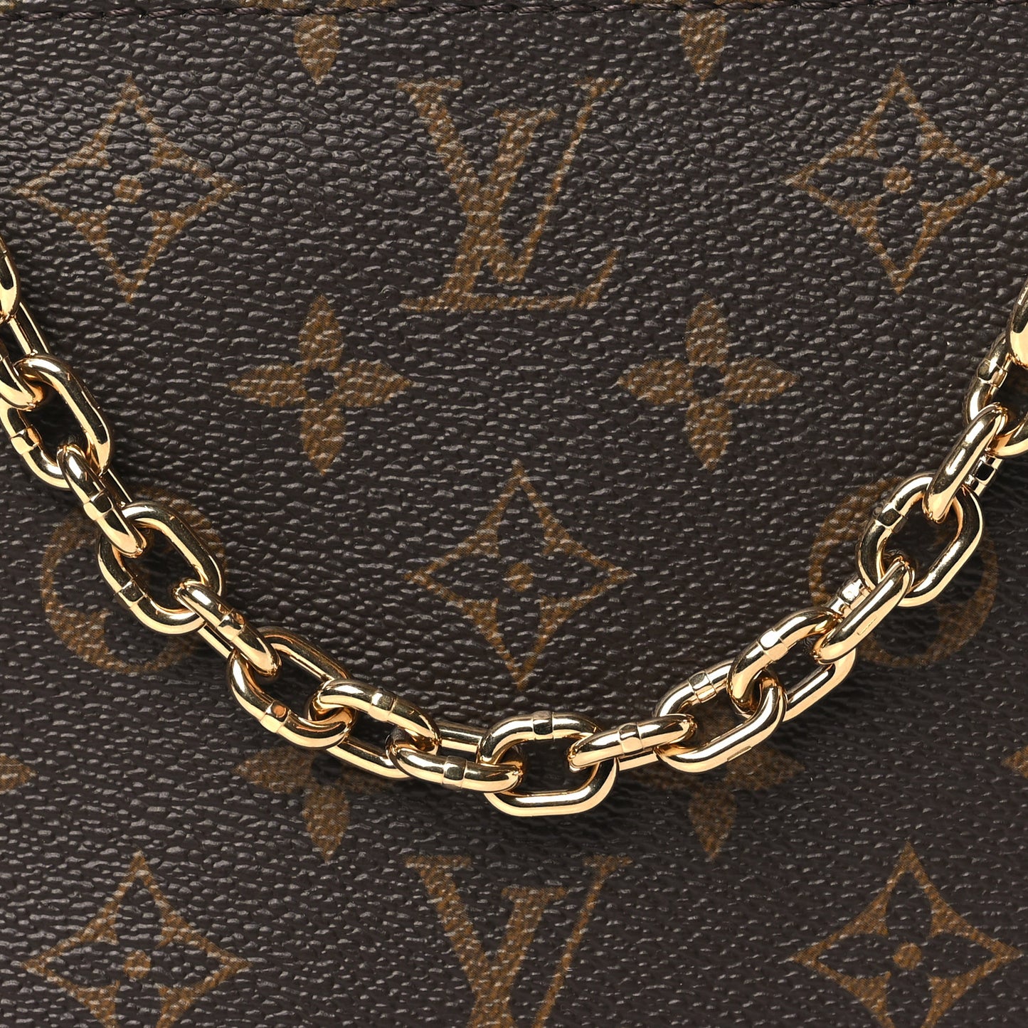 Monogram Chain Pochette Accessories