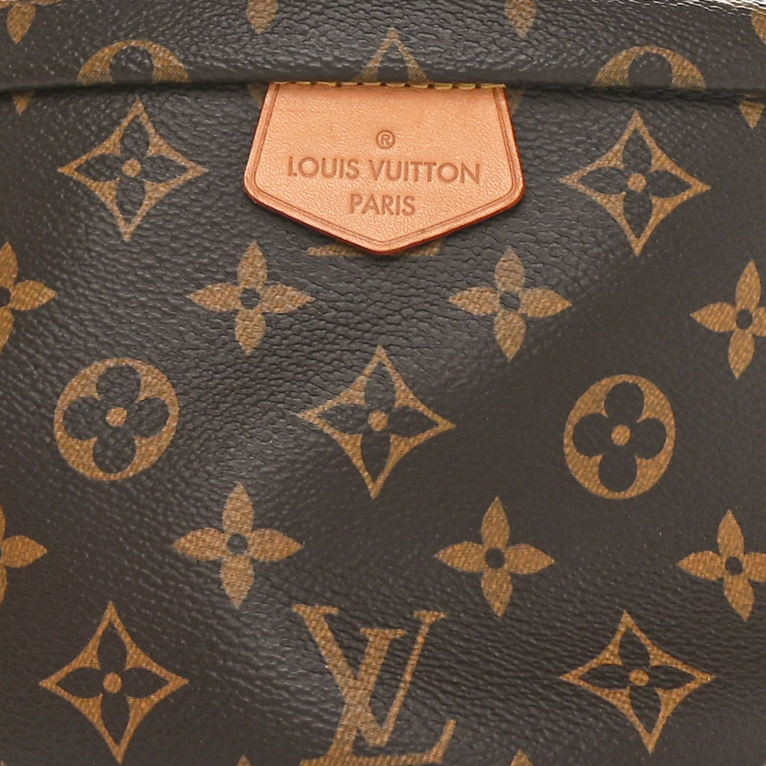 Louis Vuitton Monogram Bumbag 7 of 9