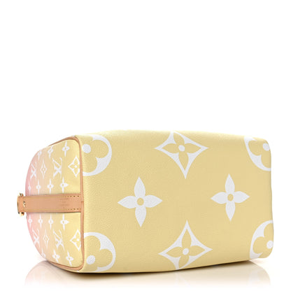 Louis Vuitton Monogram Giant By The Pool Speedy Bandouliere 25 Light Pink 4 of 12