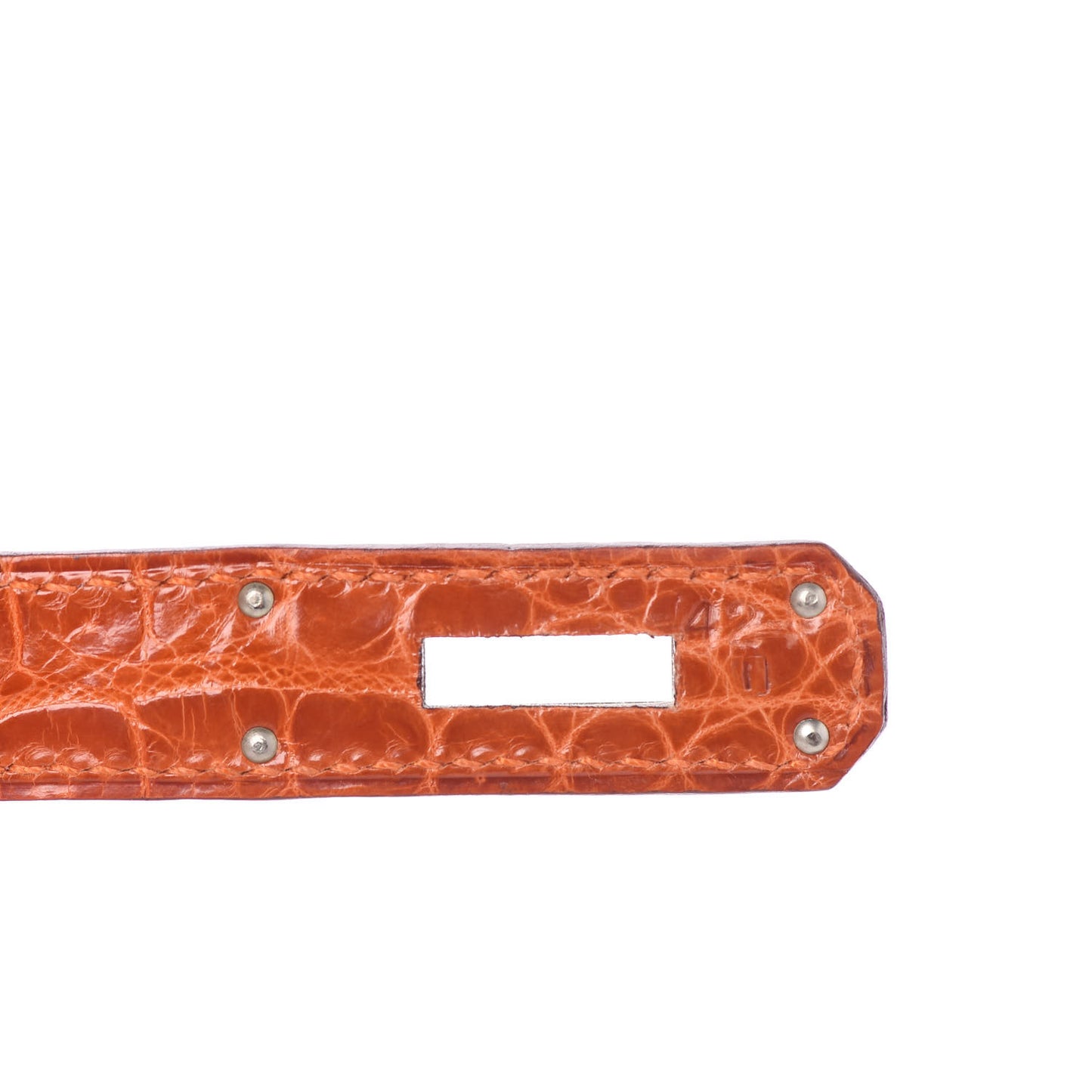 Shiny Porosus Crocodile Birkin 30 Orange