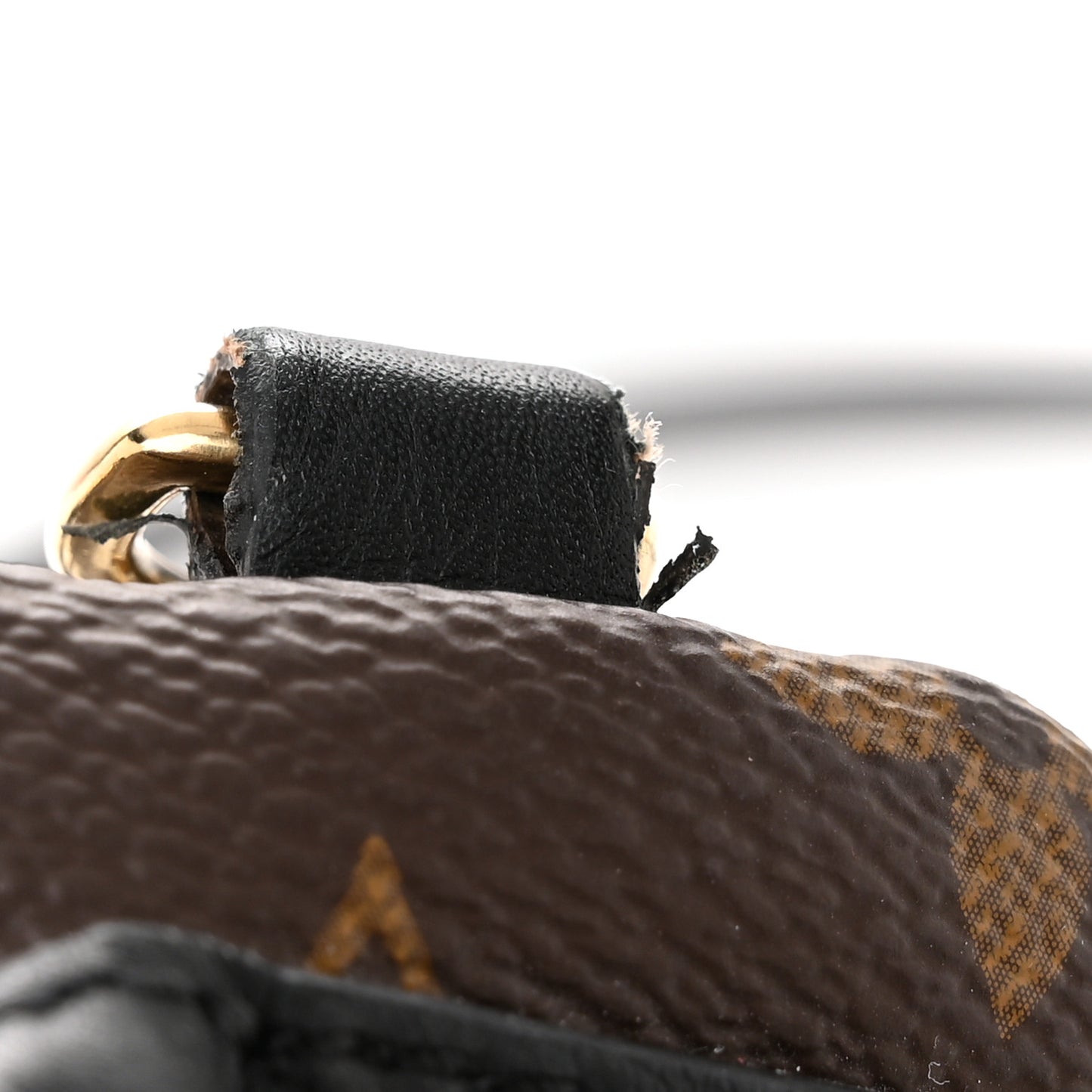 Monogram Palm Springs Backpack Mini