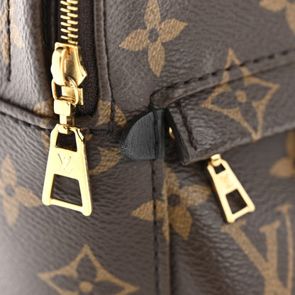 Louis Vuitton Monogram Palm Springs Backpack Mini 12 of 14