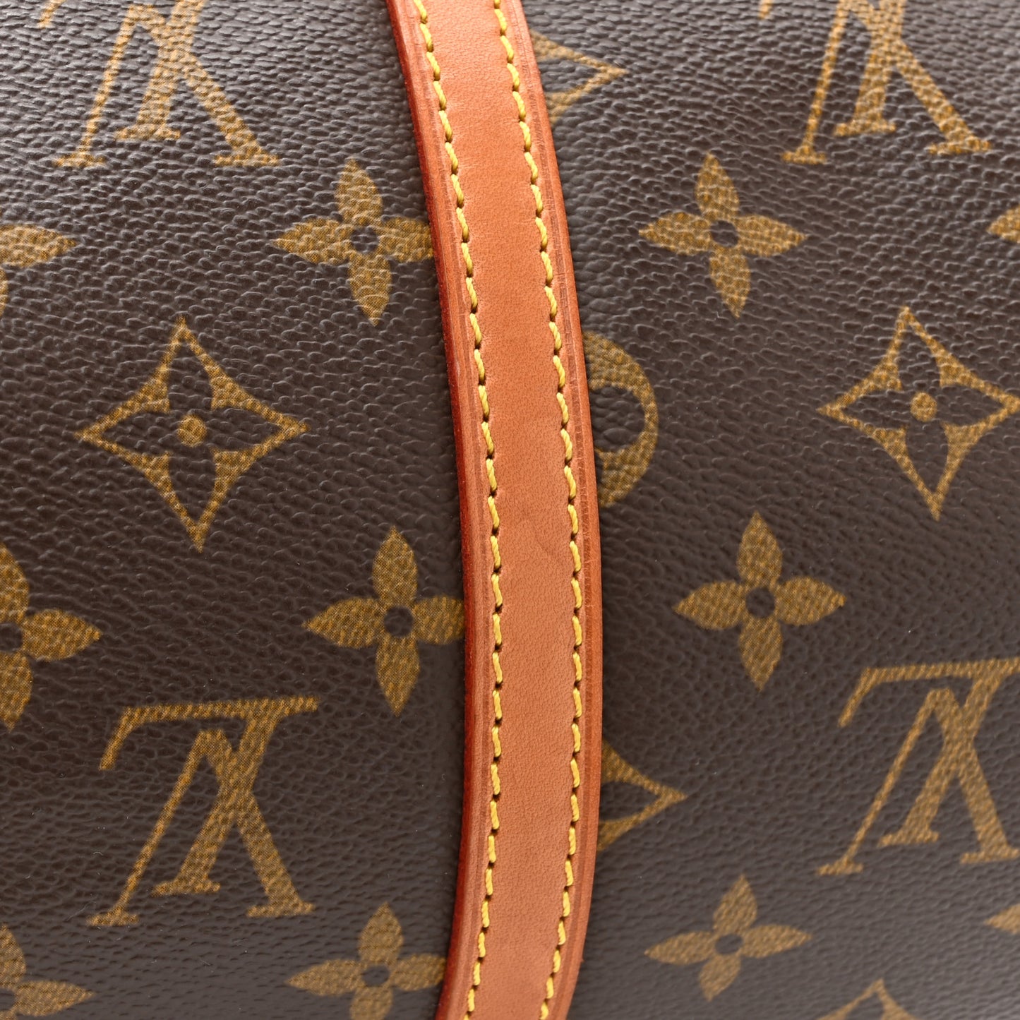 Monogram Papillon 30 with Companion