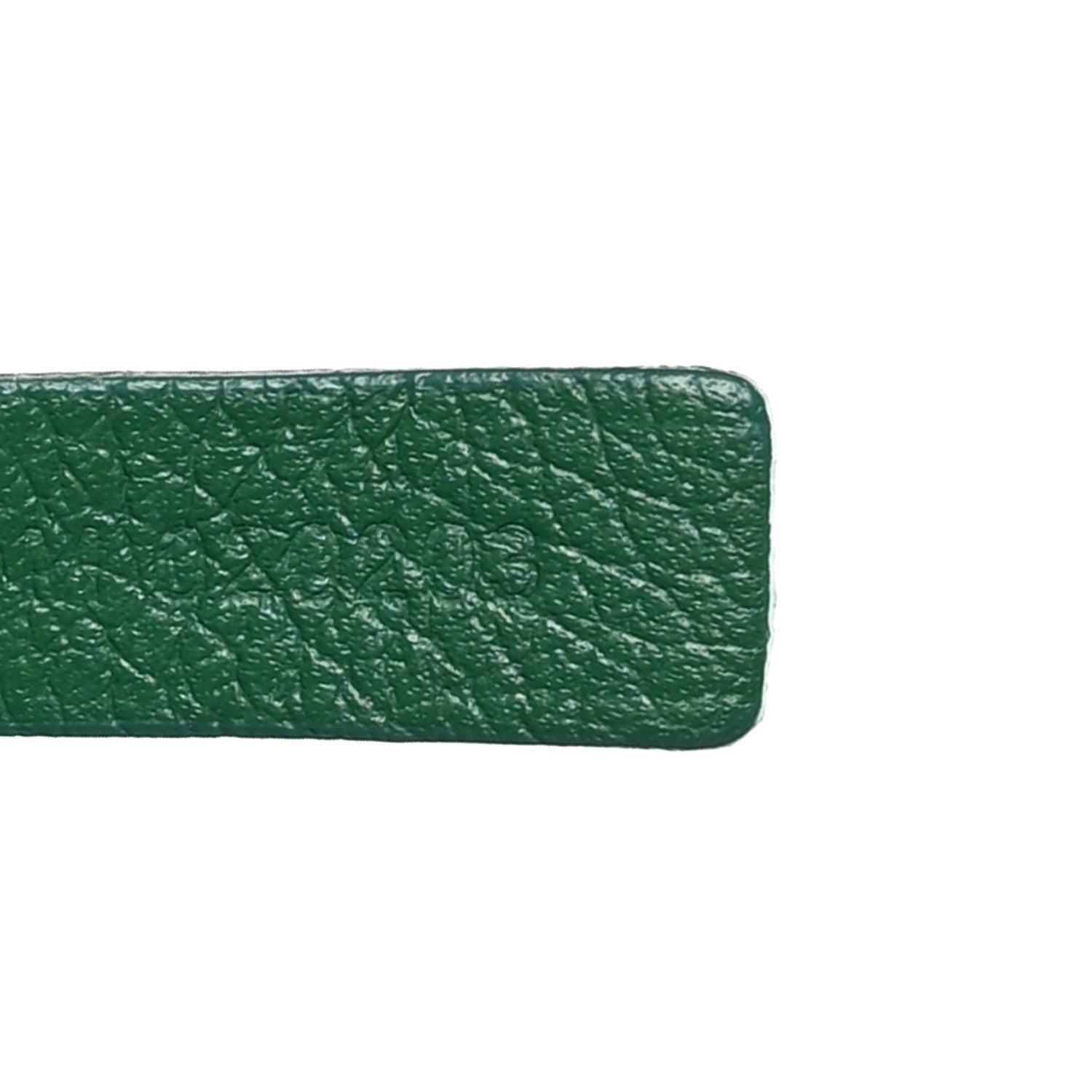 Goyard Goyardine Saint Louis PM Green 8 of 11