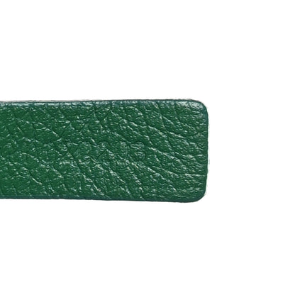 Goyard Goyardine Saint Louis PM Green 8 of 11