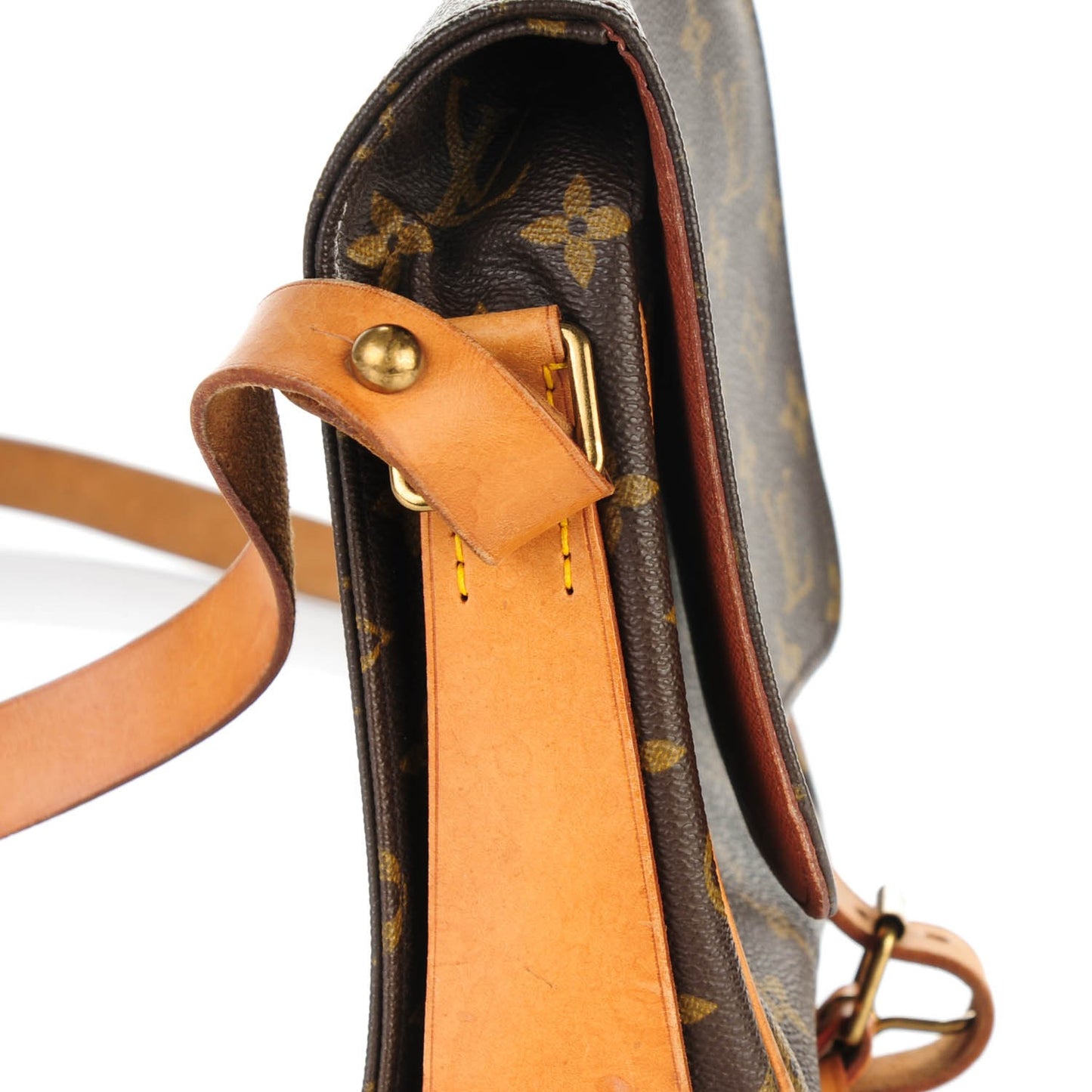Monogram Cartouchiere 22