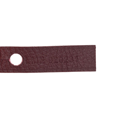 Goyard Goyardine Saint Louis PM Bordeaux 8 of 11