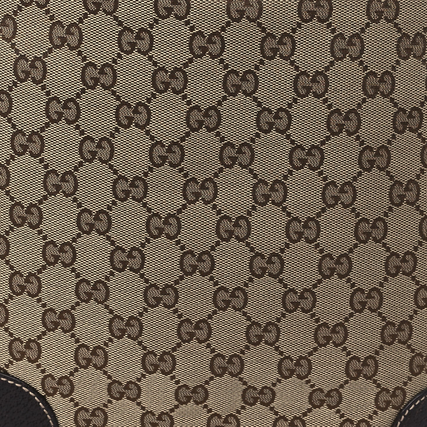 Monogram Large Princy Hobo Dark Brown