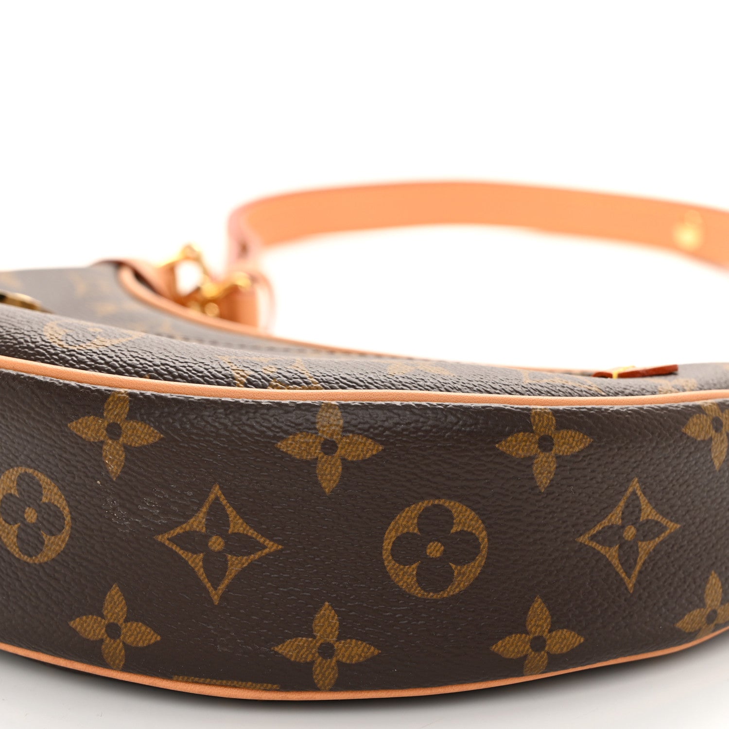 Louis Vuitton Monogram Loop 9 of 10