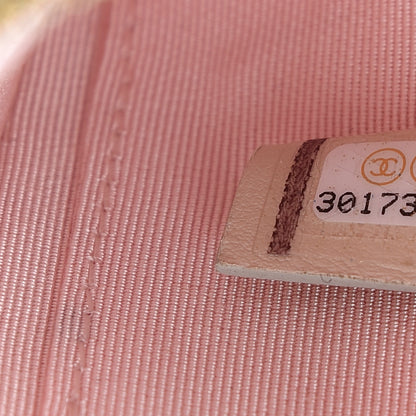 Chanel Iridescent Lambskin Quilted Cosmetic Case Ivory 7 of 8