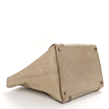 Celine Snakeskin Medium Phantom Luggage Grey 4 of 15