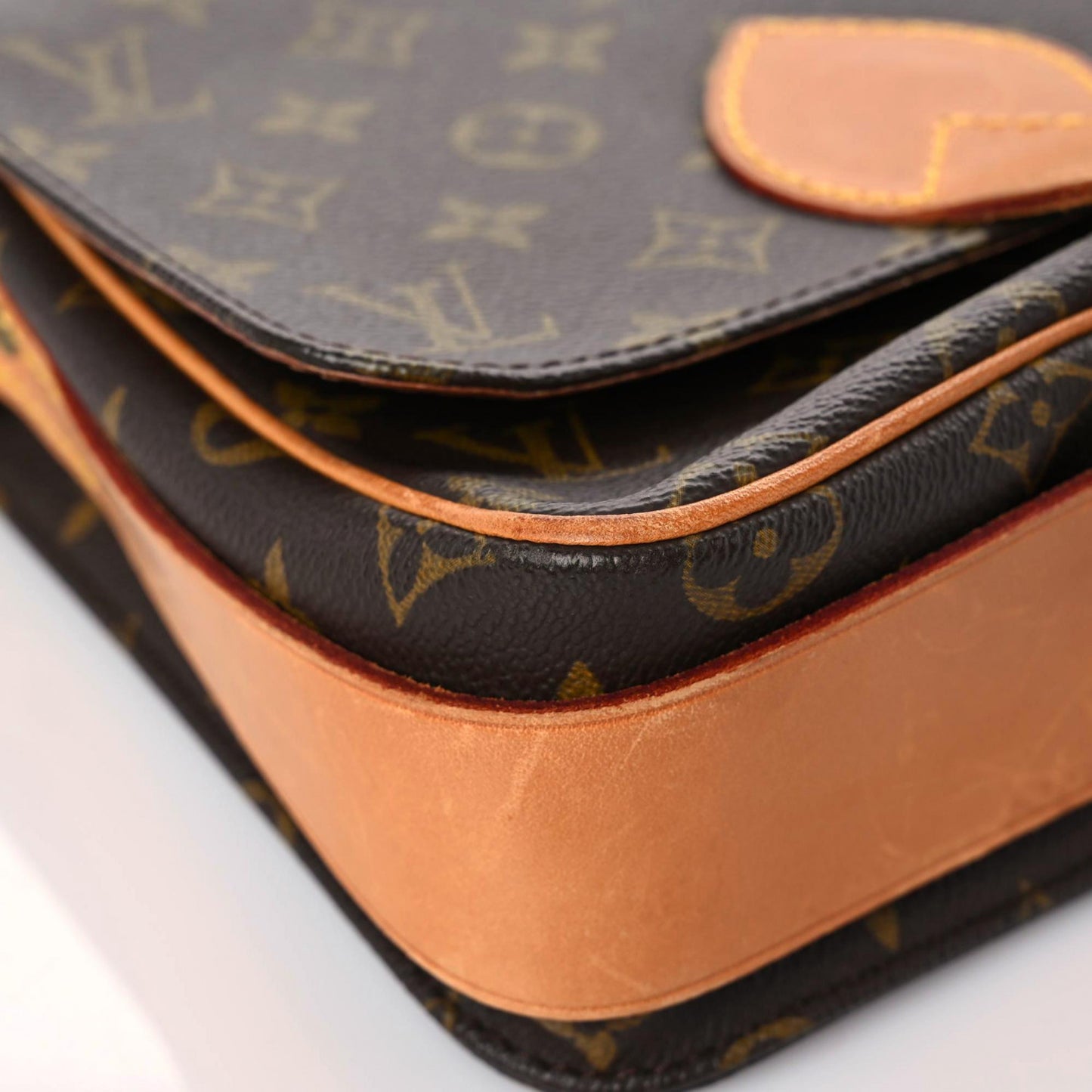 Monogram Cartouchiere 22