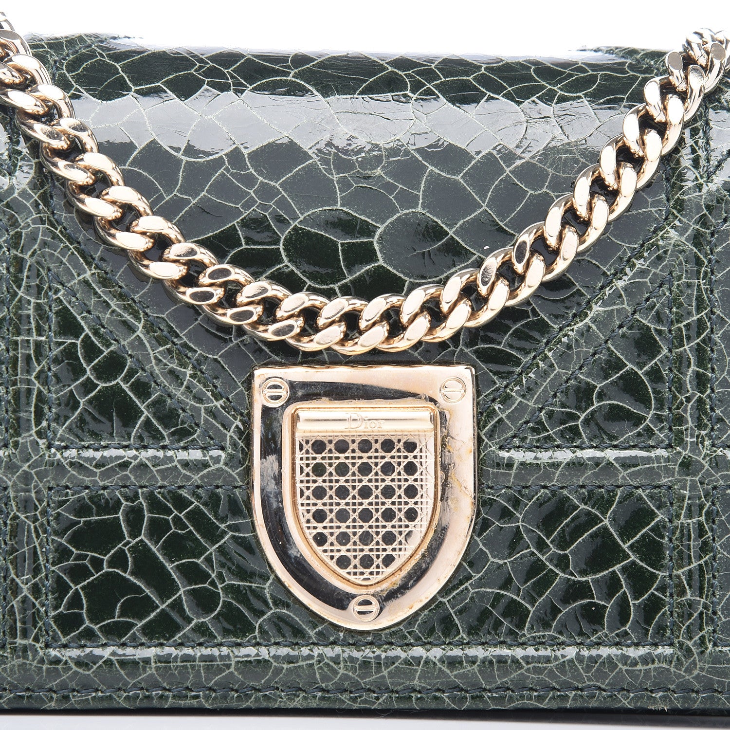Christian Dior Ceramic Effect Deerskin Baby Diorama Flap Bag Green 15 of 15