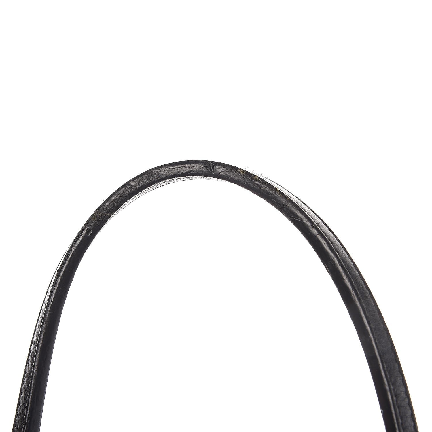 Goyard Goyardine Saint Louis PM Black 11 of 16