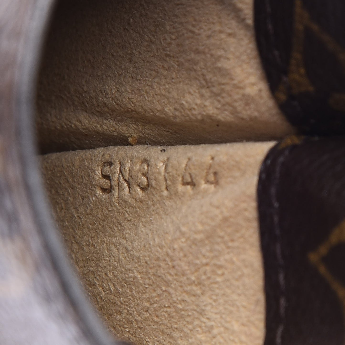Monogram Sunglasses Case MM
