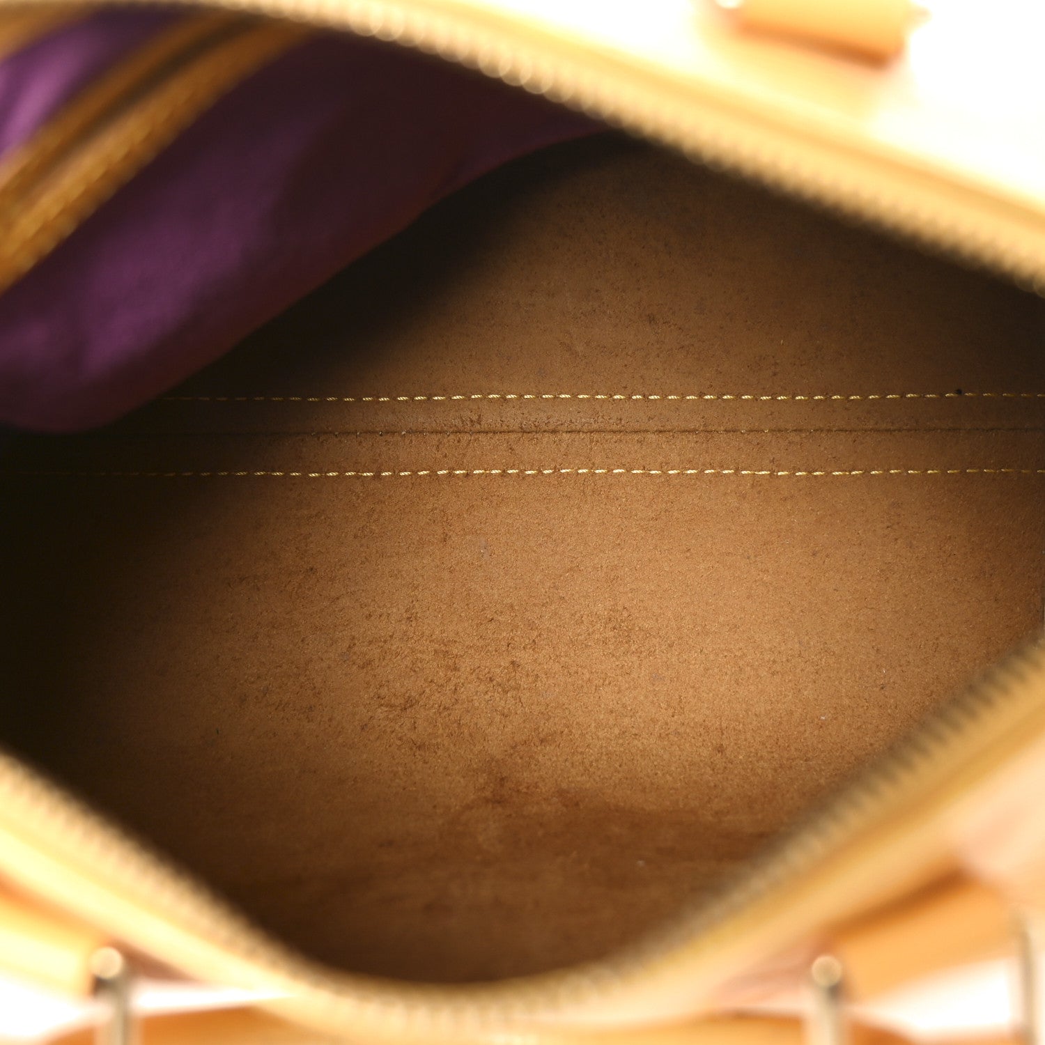 Louis Vuitton Epi Speedy 25 Tassil 5 of 10