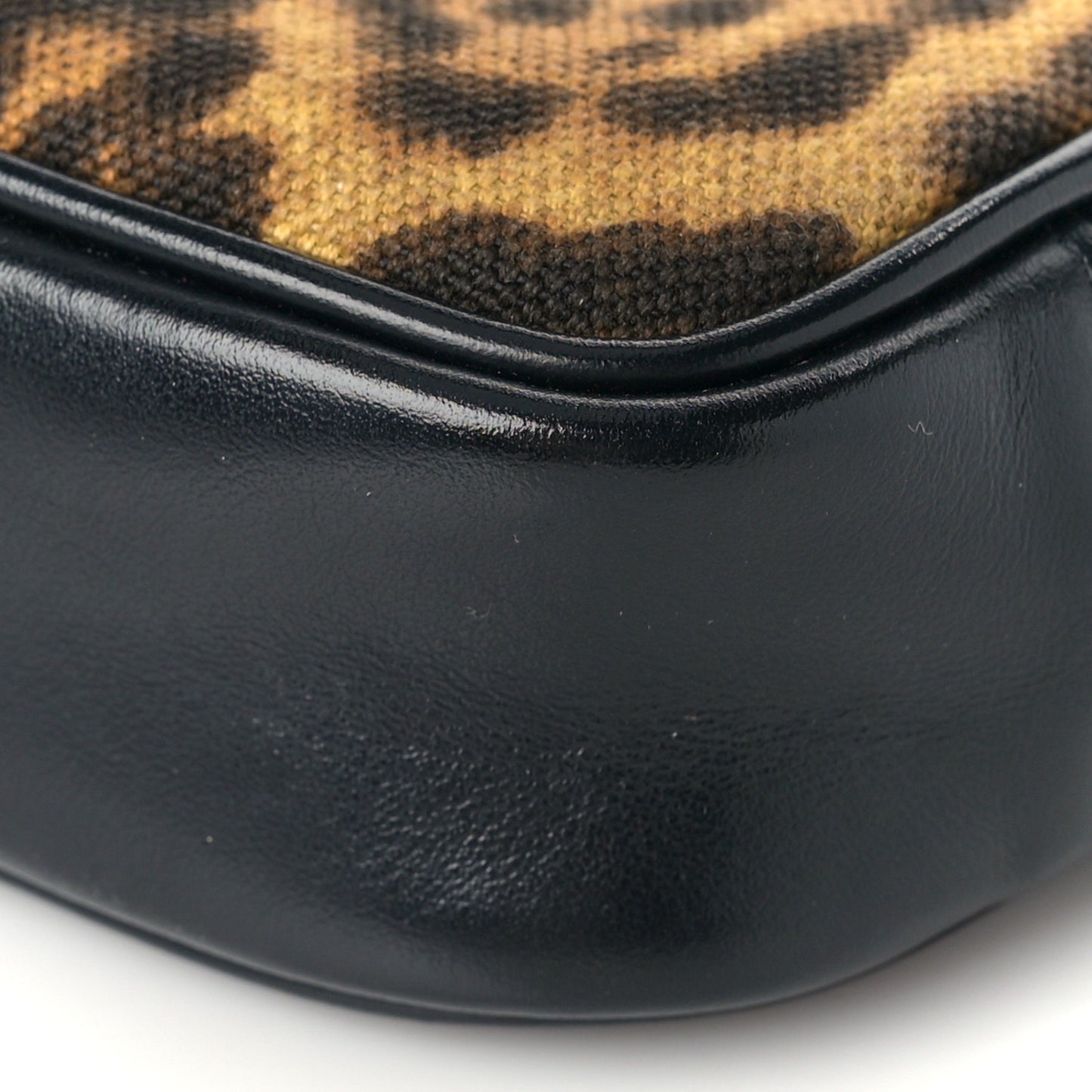 Canvas Calfskin Leopard Print Monogram Mini Lou Camera Bag Brown