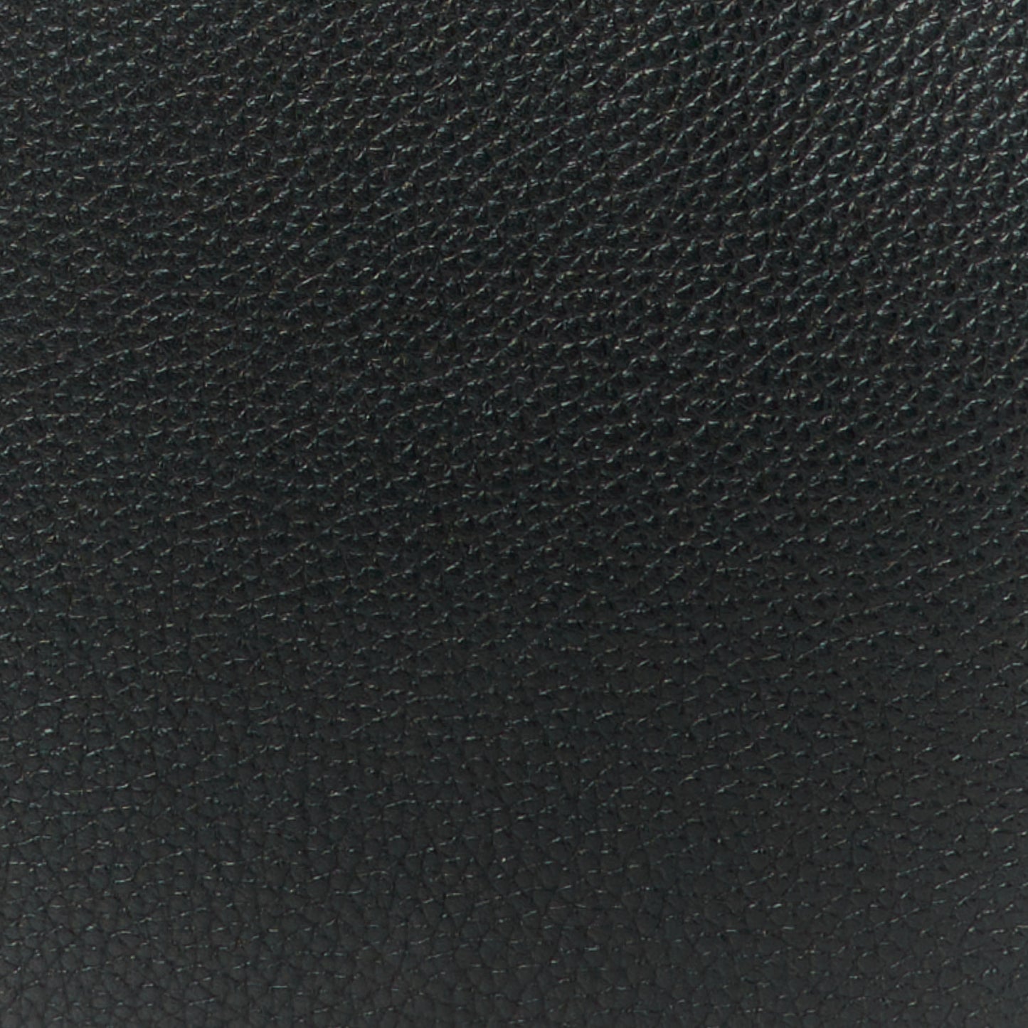 Taurillon Snakeskin City Steamer PM Black