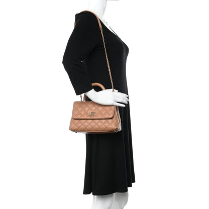Chanel Caviar Quilted Mini Coco Handle Flap Brown 2 of 11