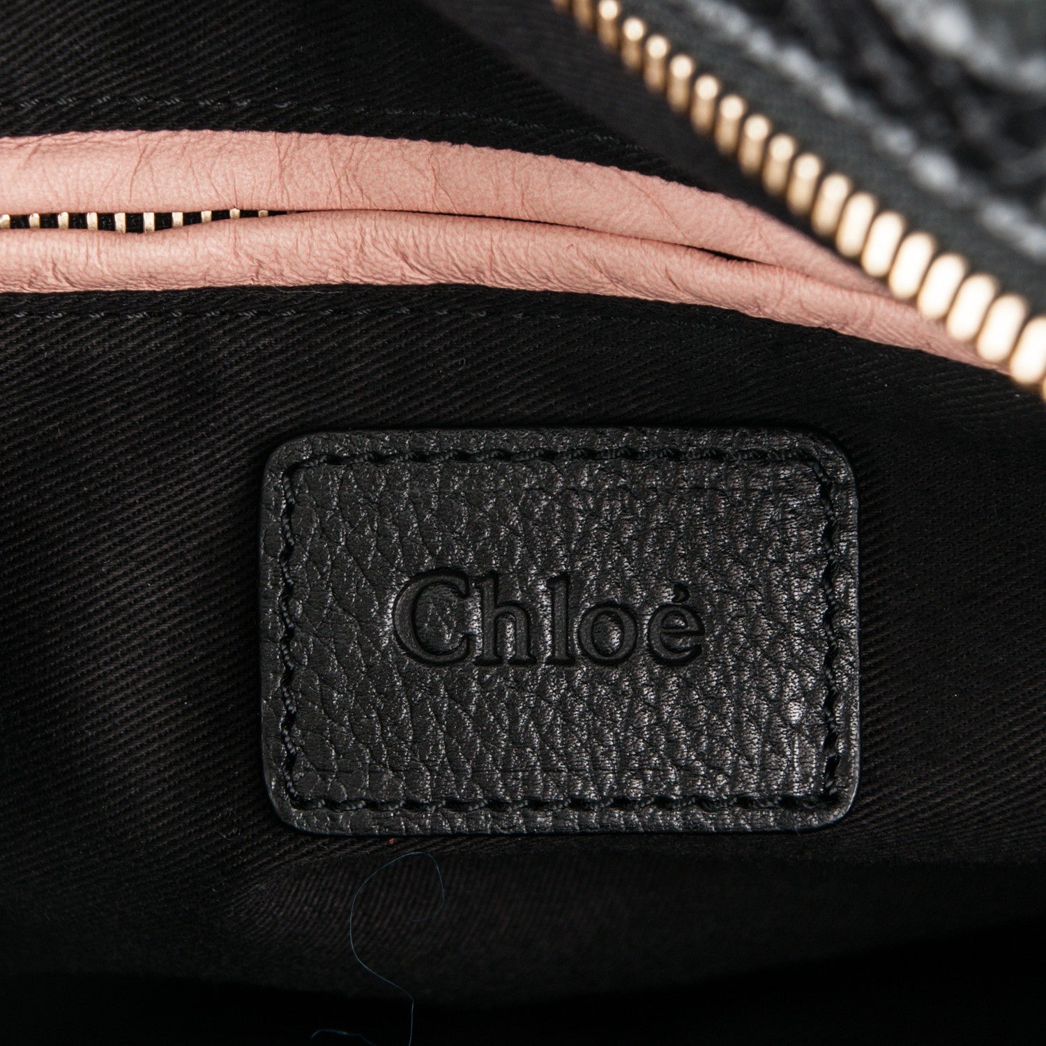 Chloe Python Medium Paraty Black 6 of 6