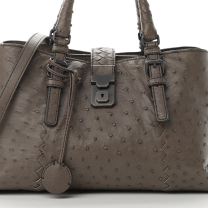Bottega Veneta Ostrich Small Roma Tote Brown 9 of 12