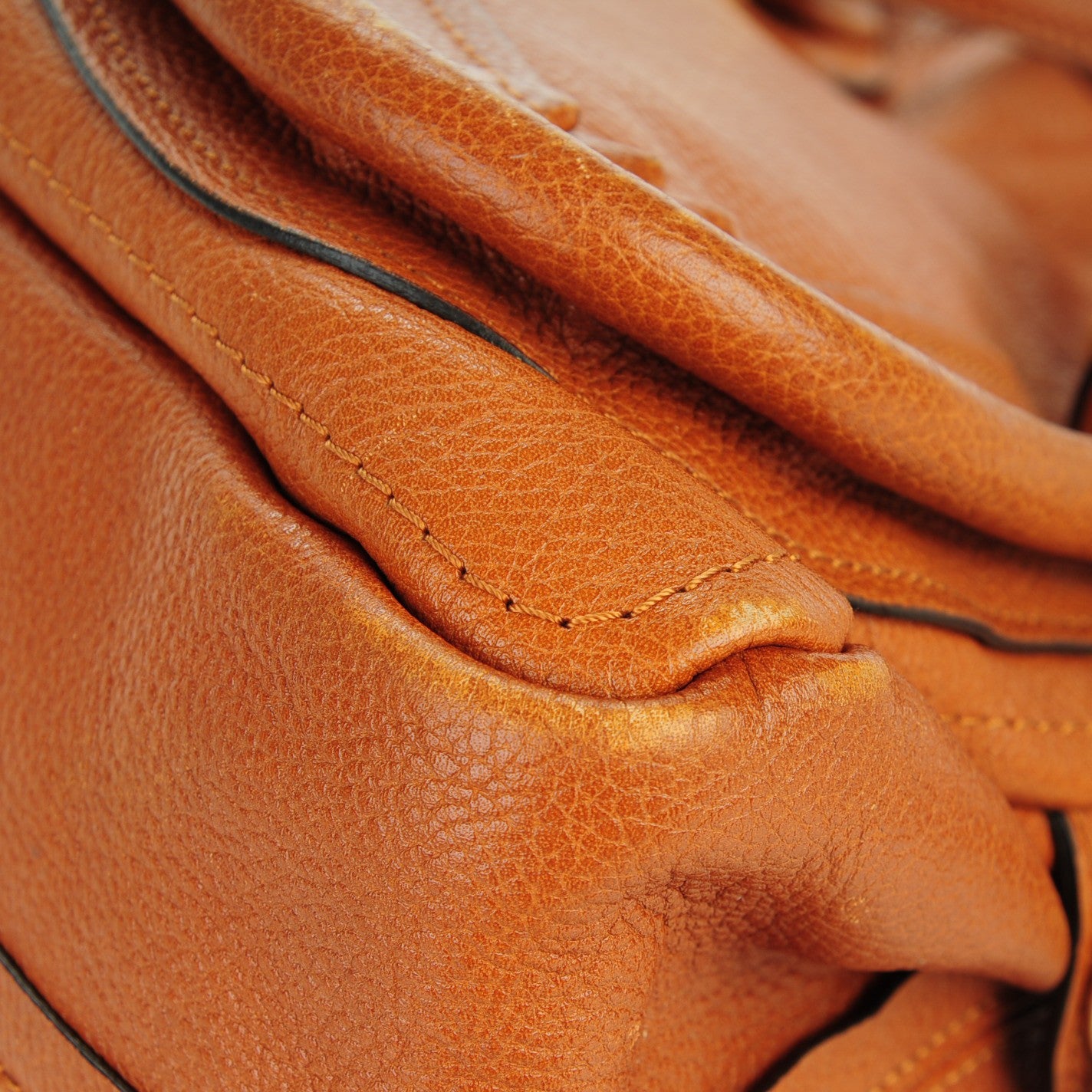 Calfskin Medium Paraty Caramel
