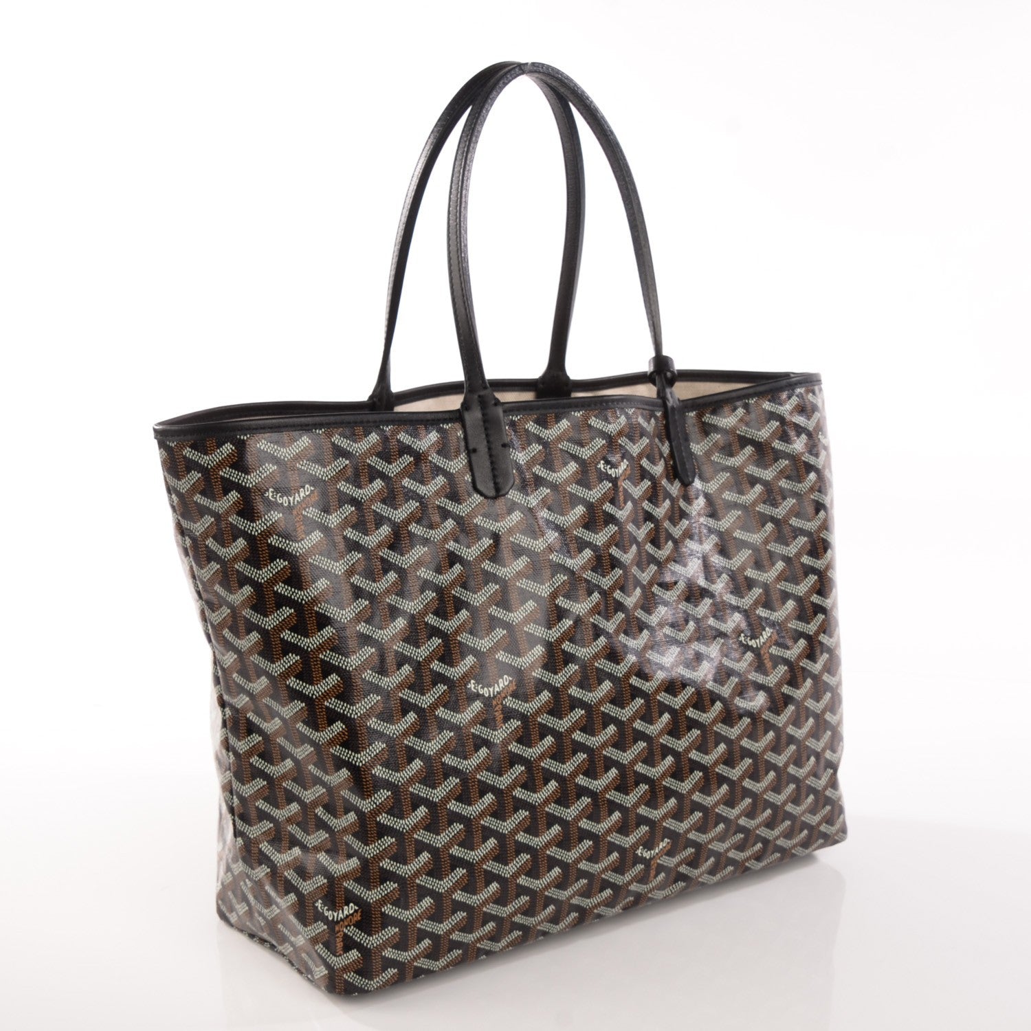 Goyard Goyardine Saint Louis PM Black 5 of 10